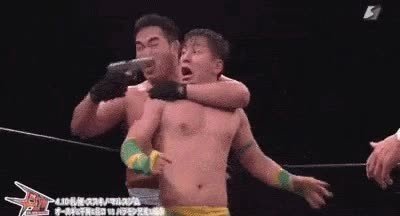 Enlace a La lucha libre ha llegado  demasiado lejos