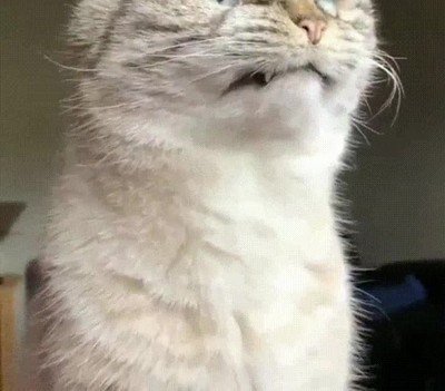 Enlace a Cuando te dicen que tu ex ya está saliendo con otra persona 