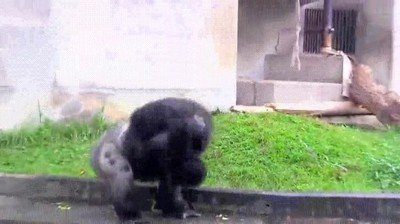 estiramientos,ma&ntilde;ana