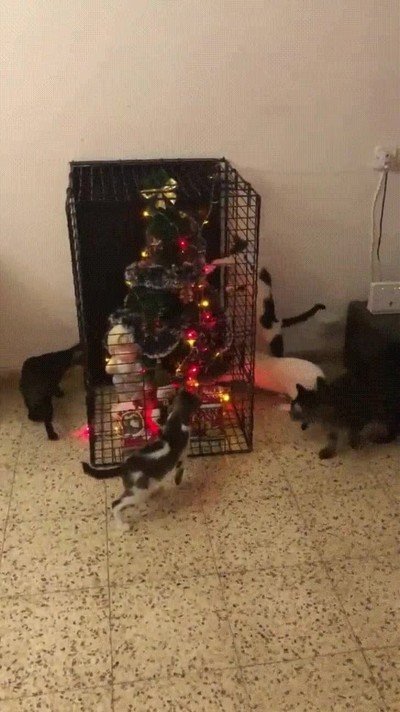 troll,arbol,navidad,gatos