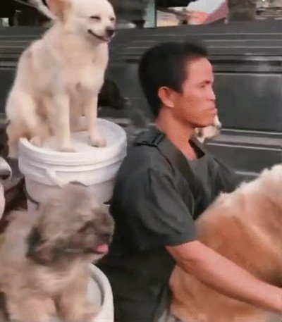 Enlace a Me encanta ver las caras de felicidad de cada uno de los miembros de esta familia