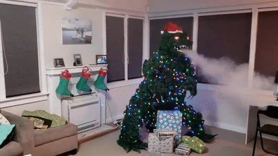 mejor,arbol,navidad,tiempo