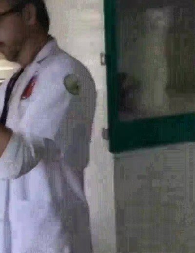 gato,veterinario,pinchazo