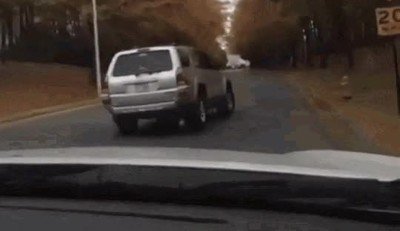 cara,conductor,coche,perro