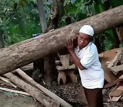 hombre,fuerte,tronco