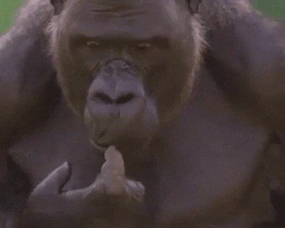 examen,primera,pregunta