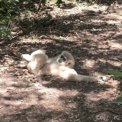 madrugar,cama,domingo