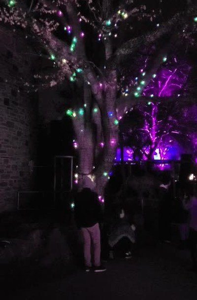 Este árbol se enciende después de recoger toda la energía del resto de árboles del parque energia,luces,arbol