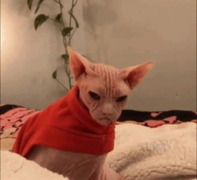 cara,persona,delante,puerta