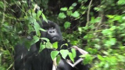 cara,madre,llegar,casa