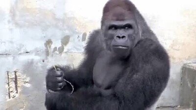 Enlace a Cuando estás en el transporte público y alguien te spoilea tu serie favorita