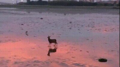 volver,casa,finde,pareja