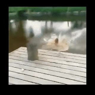 Enlace a Antes de tirarse de cabeza siempre hay que comprobar el nivel del agua