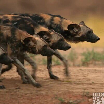 entrar,amigas,discoteca