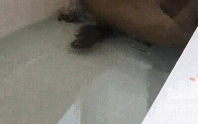 momento,favorito,dia,ba&ntilde;era