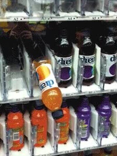 mejor,dia,vida,botellas