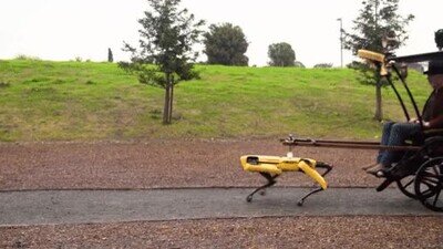 medio,transporte,futuro