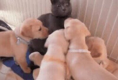 Enlace a Esto es lo que siente la gente guapa en Tinder