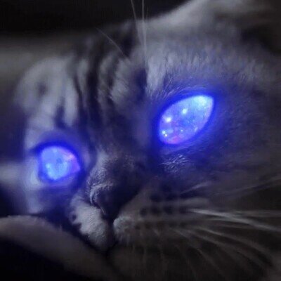 Enlace a Este gato tiene el espacio dentro de sus ojos 