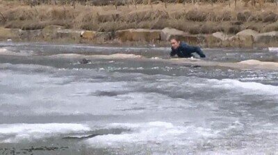 Enlace a Saltando a un lago helado para salvar a su perro
