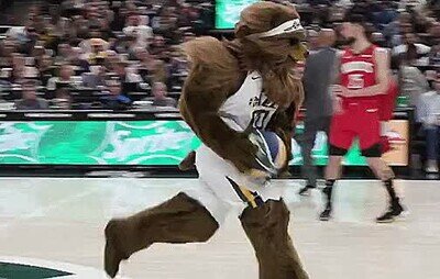 hueco,equipo,titular,mascota