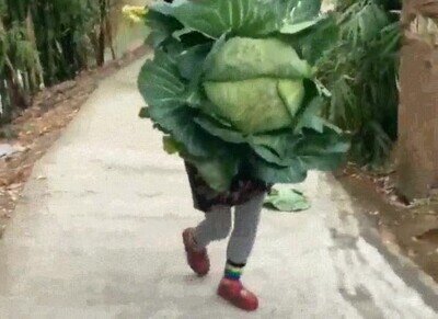 Enlace a El tamaño de las hortalizas es cada vez más grande