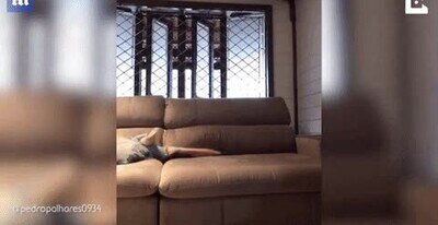 escondite,sofa,padres