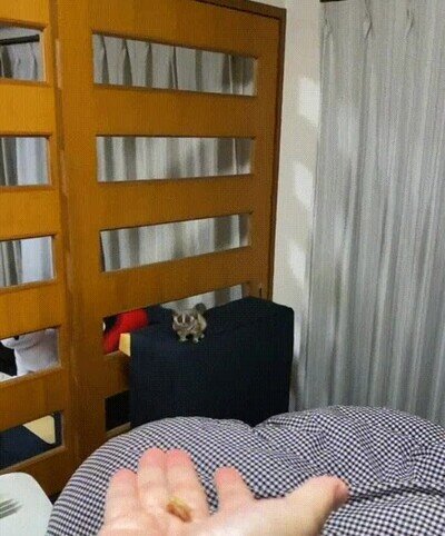 Enlace a Un aterrizaje digno de un super héroe 