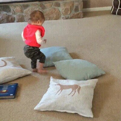 Enlace a Este gato saber cómo esquivar el peligro en el último momento