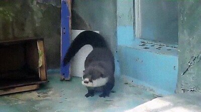 Enlace a Así bailan muchos en la discoteca 