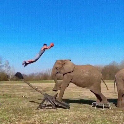 Enlace a La canasta más alucinante que he visto nunca