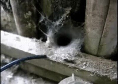 no,lanzallamas,fuego,miedo