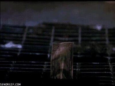 pedir,pizza,cuarentena