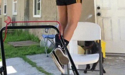 Enlace a Este perro es el mejor compañero de gimnasia 