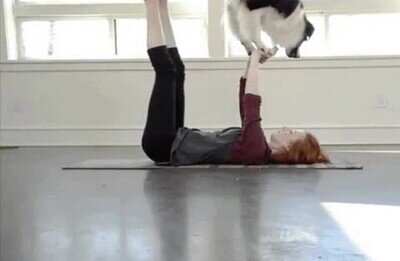 acroyoga,perro,pareja