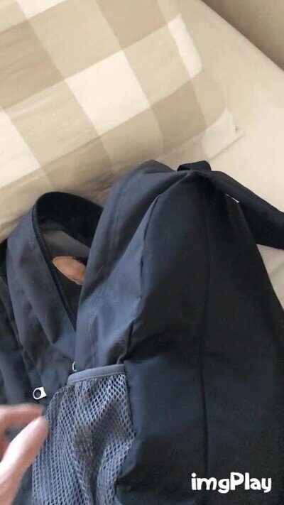 Gato mochila