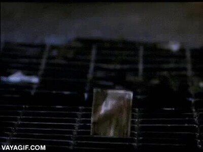 cuarentena,pedir,pizza