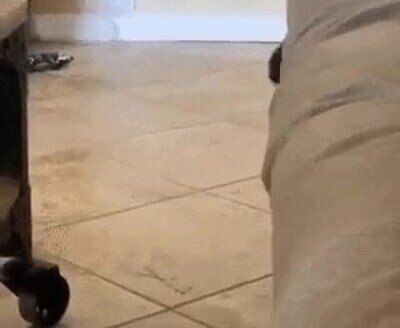 ba&ntilde;o,aplausos,ocho