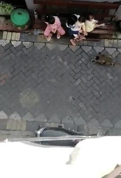 mono,monkey,motocicleta,niña,secuestro