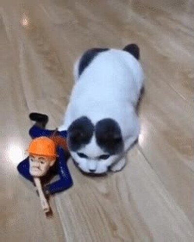 Enlace a Estamos bajo fuego enemigo, agáchate