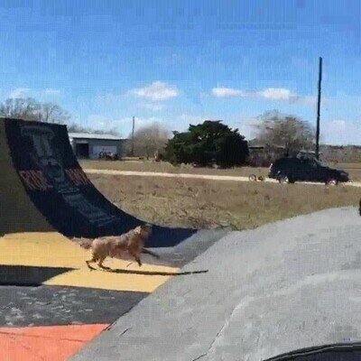 Enlace a O tiene mucha suerte o lo tiene muy estudiado