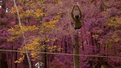 Enlace a Ni practicando 1000 años logro hacer esto