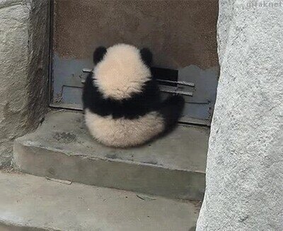 Enlace a Agente secreto panda