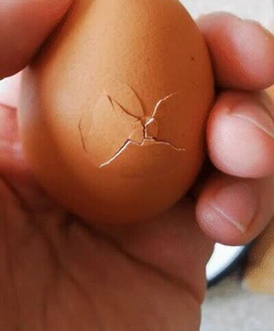 Enlace a Esta mañana iba a hacerme un huevo cuando...