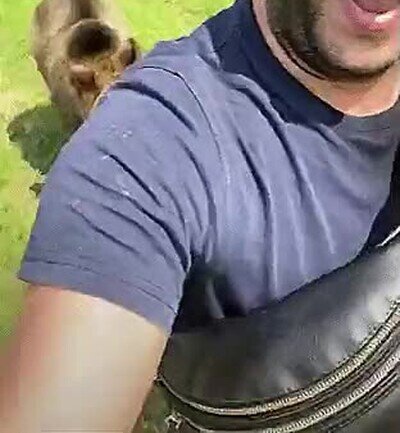 Enlace a Si le das comida a un oso, tendrás un amigo para toda la vida