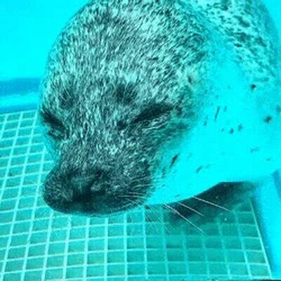 lavar,manos,importante