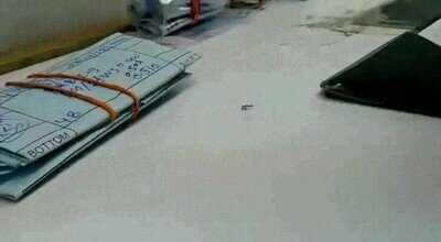 Enlace a Una hormiga intentando el robo de un diamante