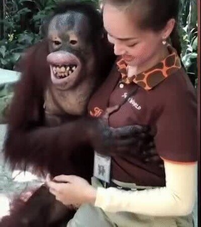 salido,mano,donde vas