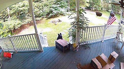 Enlace a Por fin he pillado al que me robó mi paquete de amazon