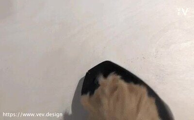 Enlace a Las 3 películas favoritas de un perro